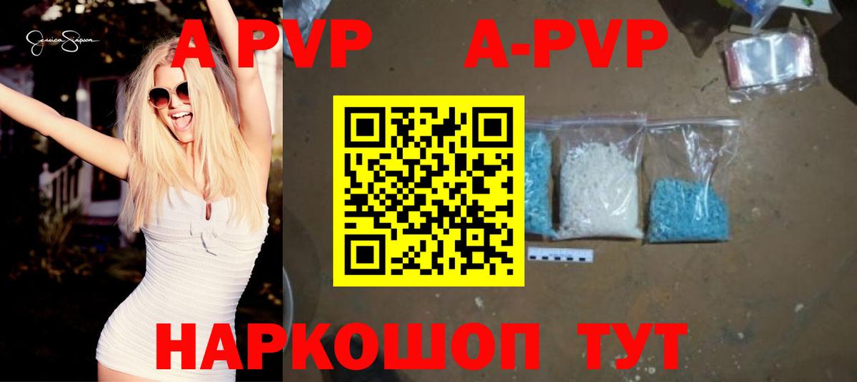 A-PVP СК Урус-Мартан