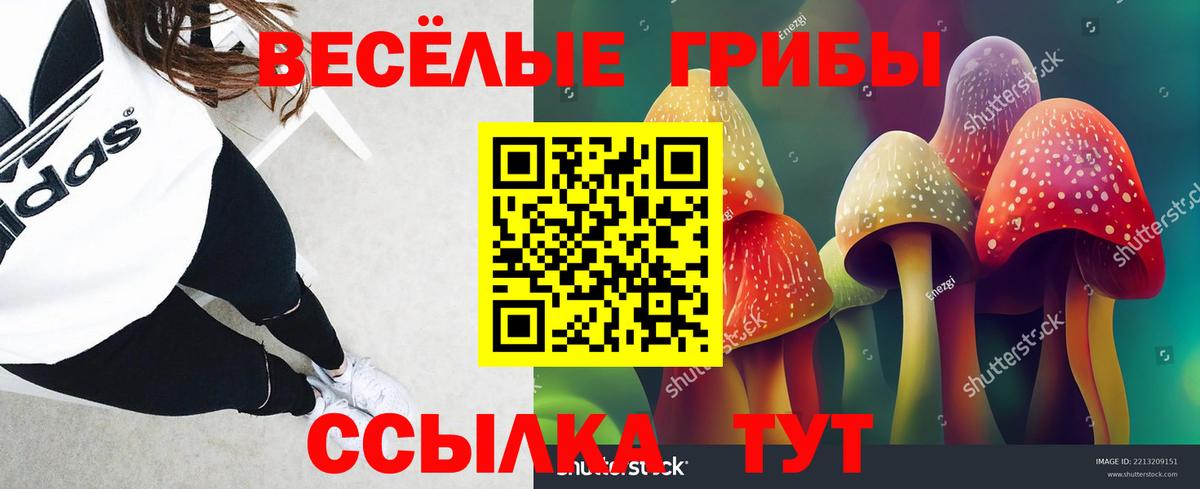 Галлюциногенные грибы мицелий  Вход с VPN  Урус-Мартан 